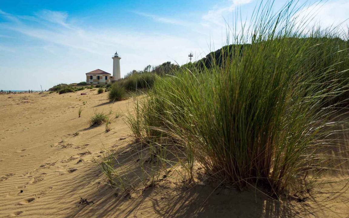 Photo of Others in Bibione Pineda