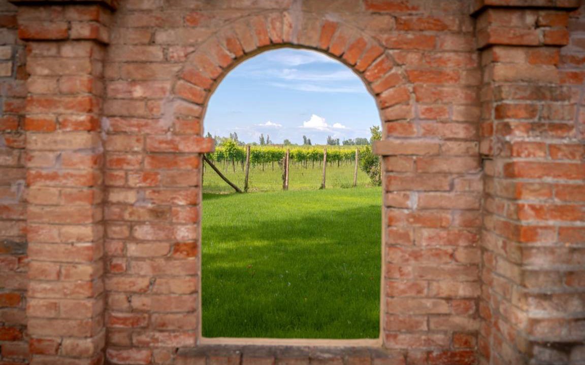 Photo of Others in Torre di Mosto