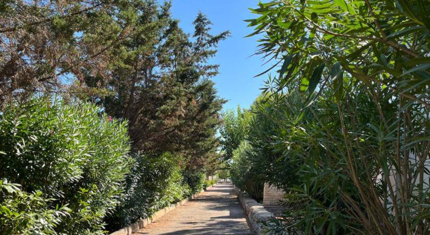 Photo of Outdoor in Sava