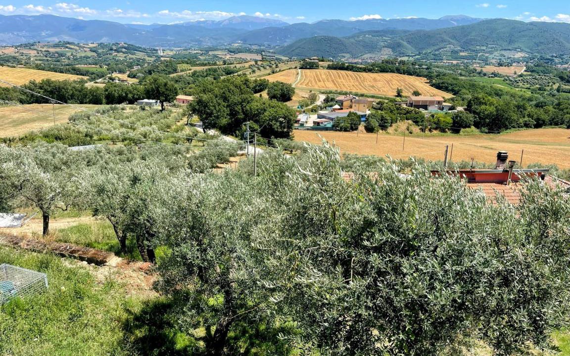 Photo of Others in Ocenelli
