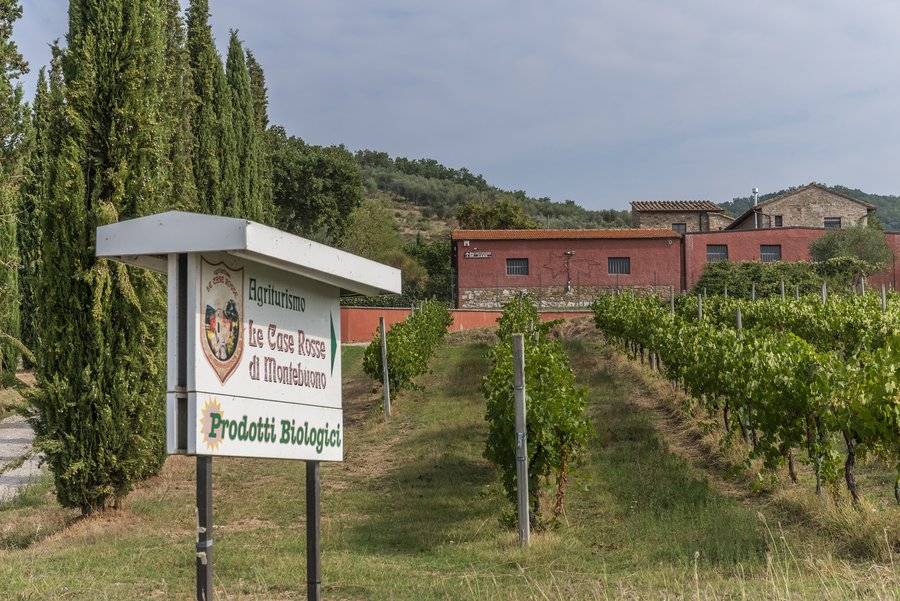 Photo of Others in Magione