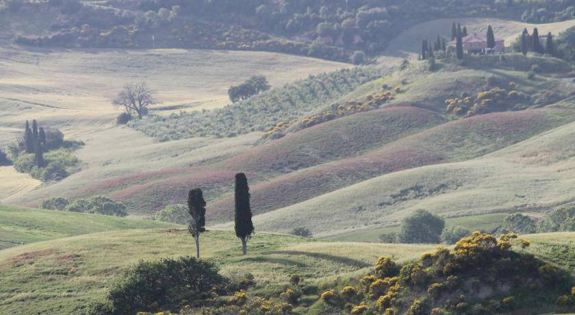 Photo of Others in San Quirico d'Orcia