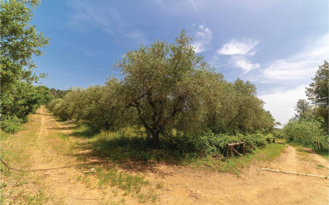 Photo of Others in Castiglione della Pescaia