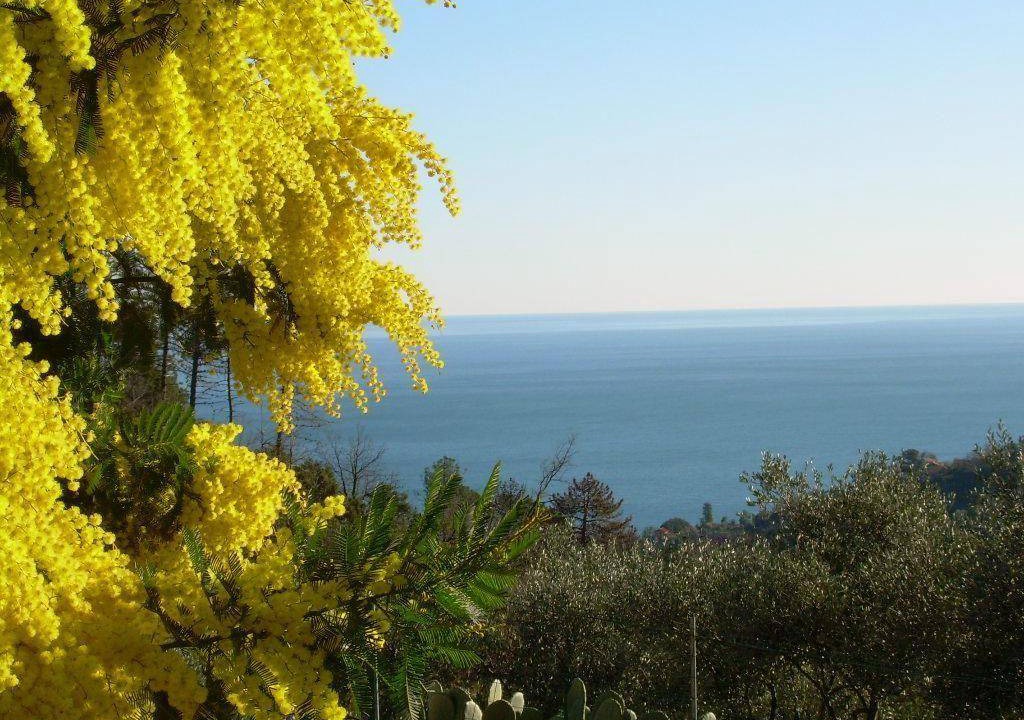 Photo of Others in Moneglia