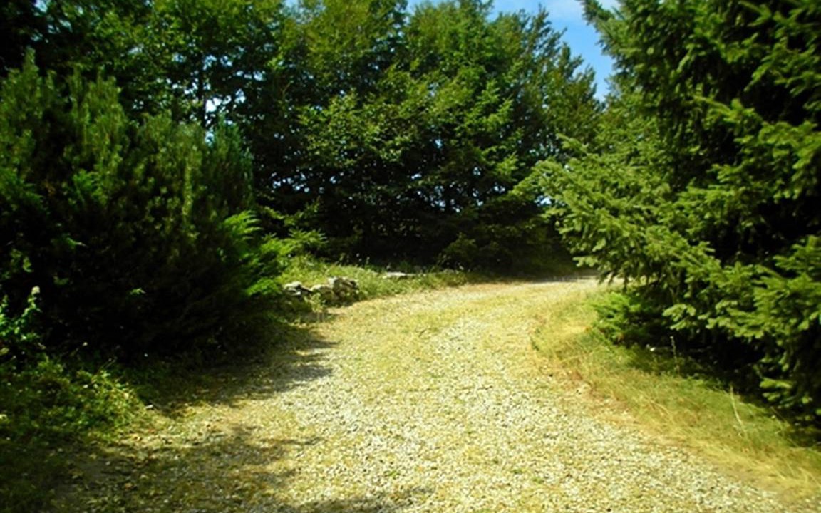 Photo of Others in Montemignaio