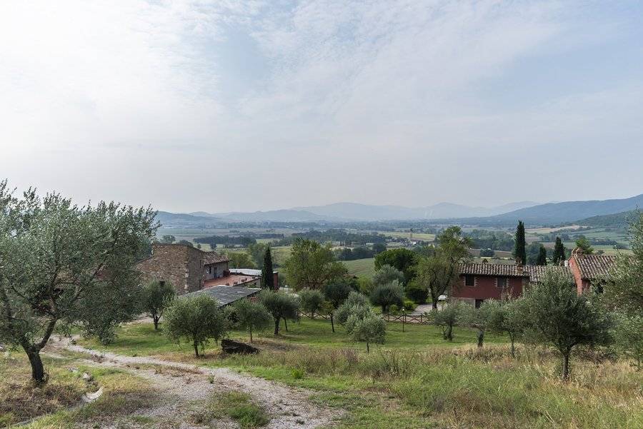 Photo of Others in Magione