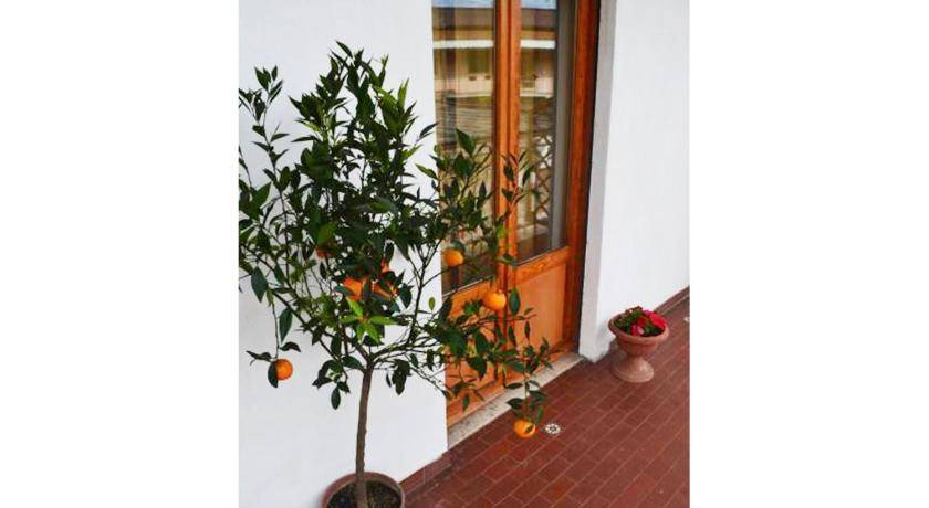 Photo of Others in Quartiere XXIX Ponte Mammolo