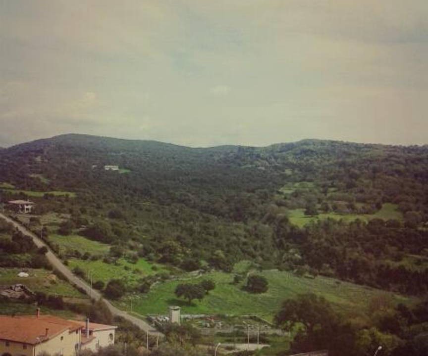Photo of Others in Nughedu Santa Vittoria
