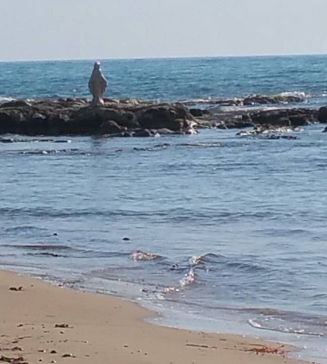 Photo of Others in Siculiana