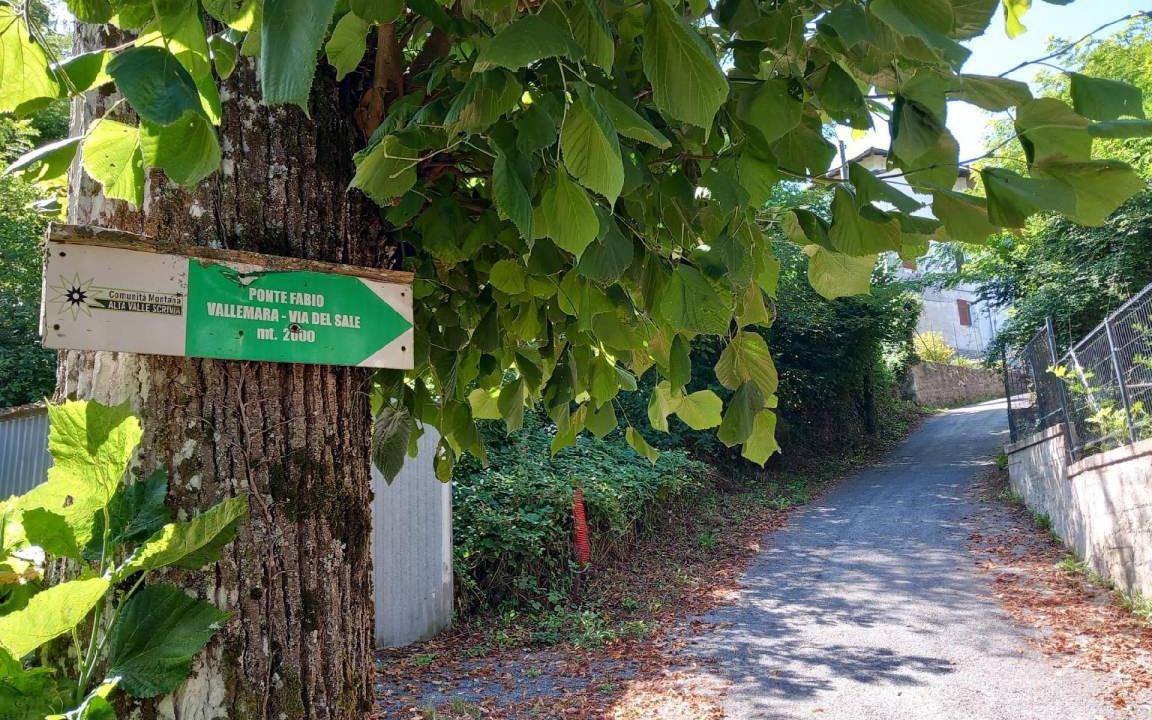 Photo of Outdoor in Vobbia
