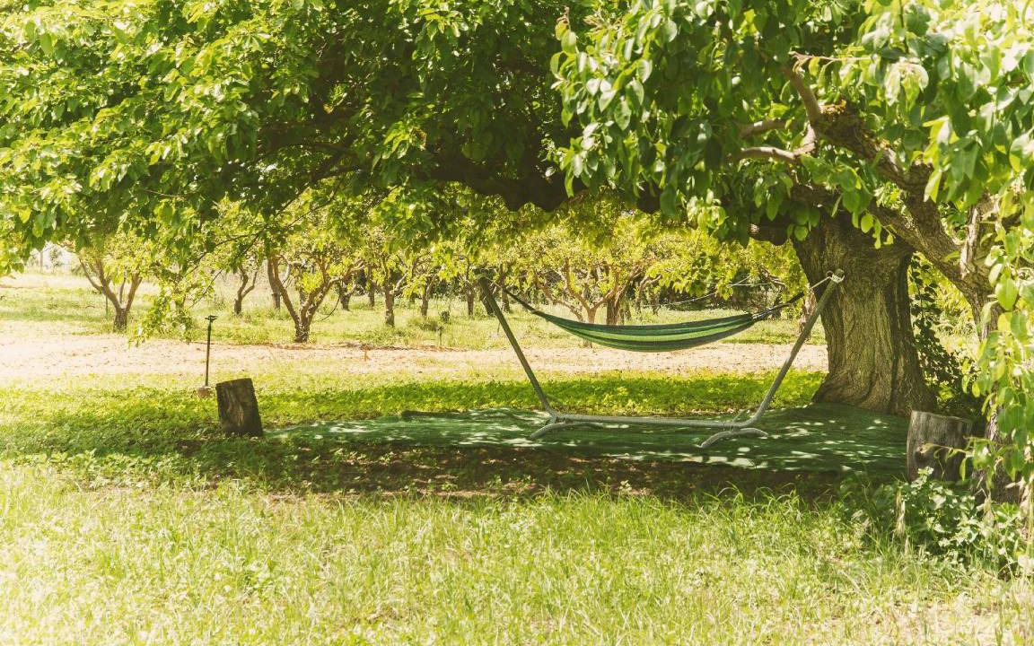 Photo of Outdoor in Partinico