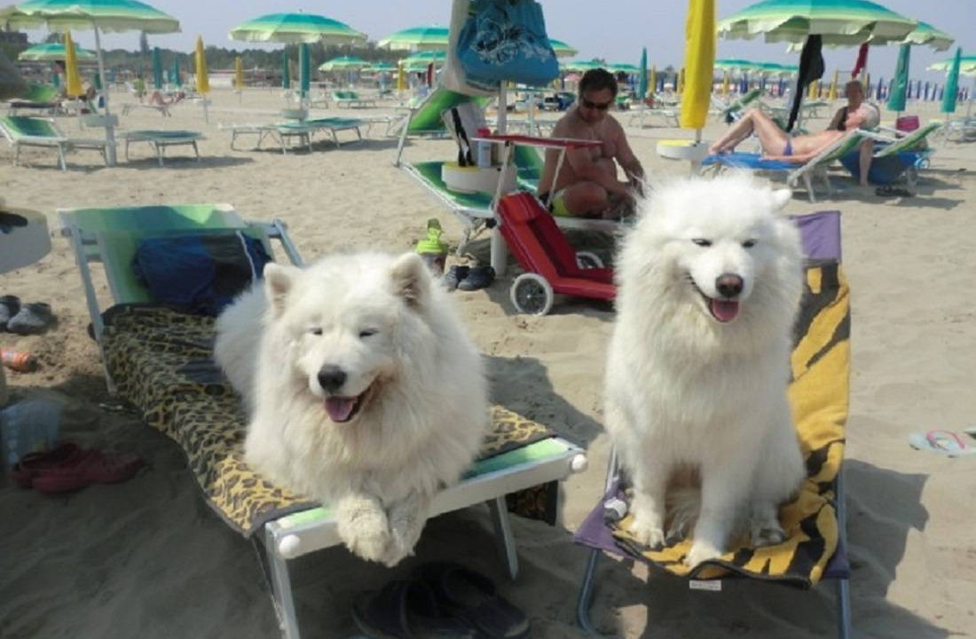 Photo of Others in Lido di Spina
