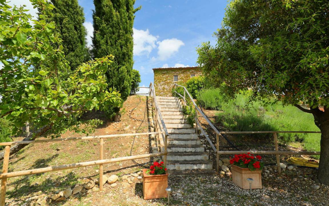 Photo of Others in Scansano