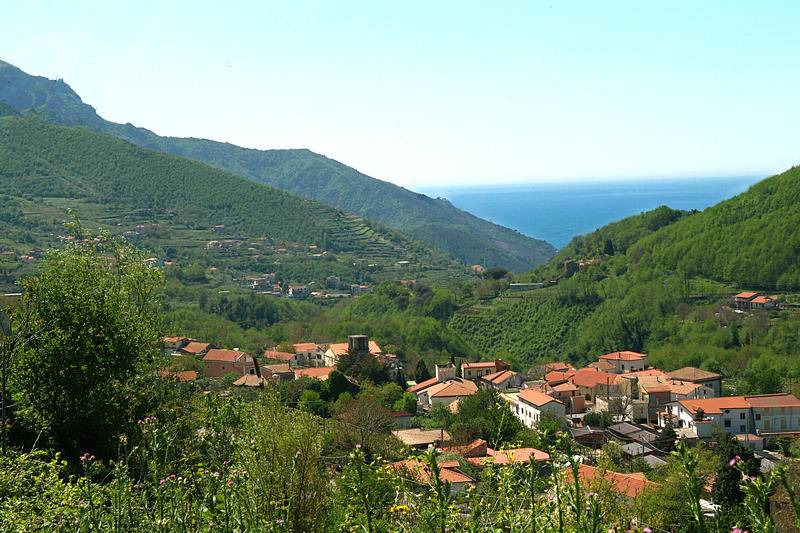 Photo of Others in Campinola