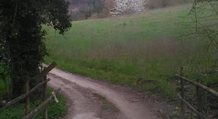 Photo of Others in Comunanza