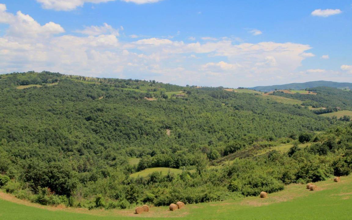Photo of Others in San Venanzo