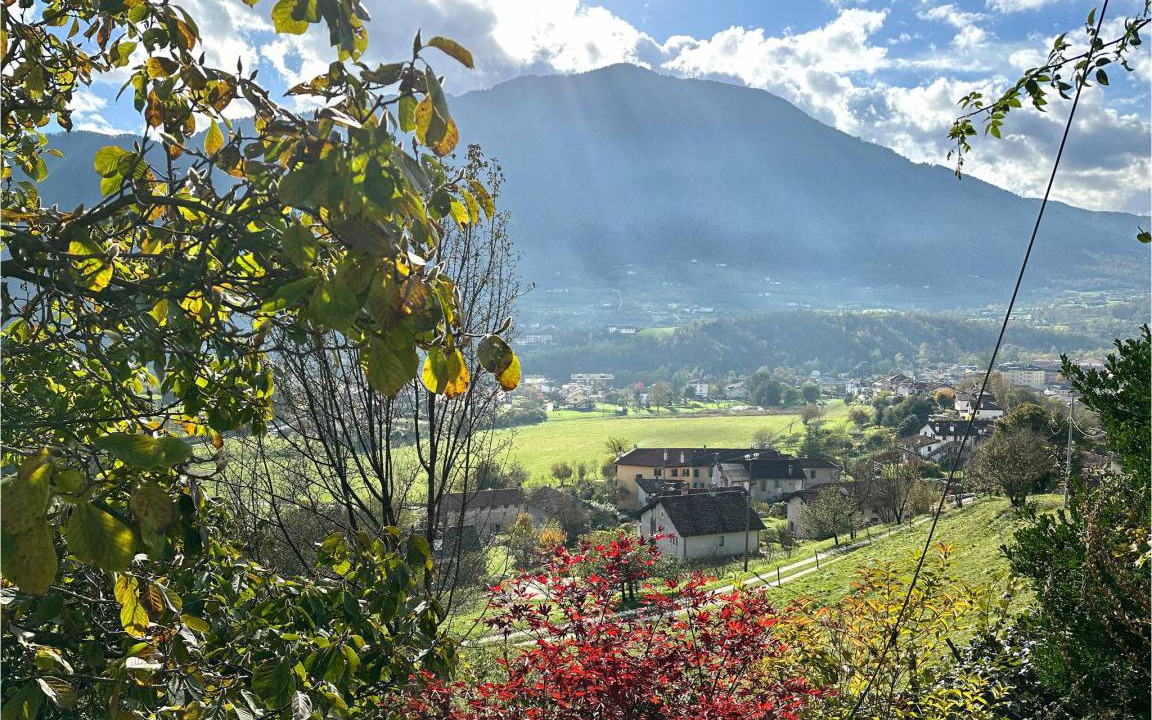 Photo of Others in Feltre
