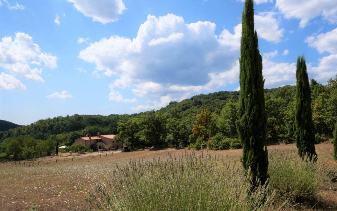 Photo of Others in Massa Marittima
