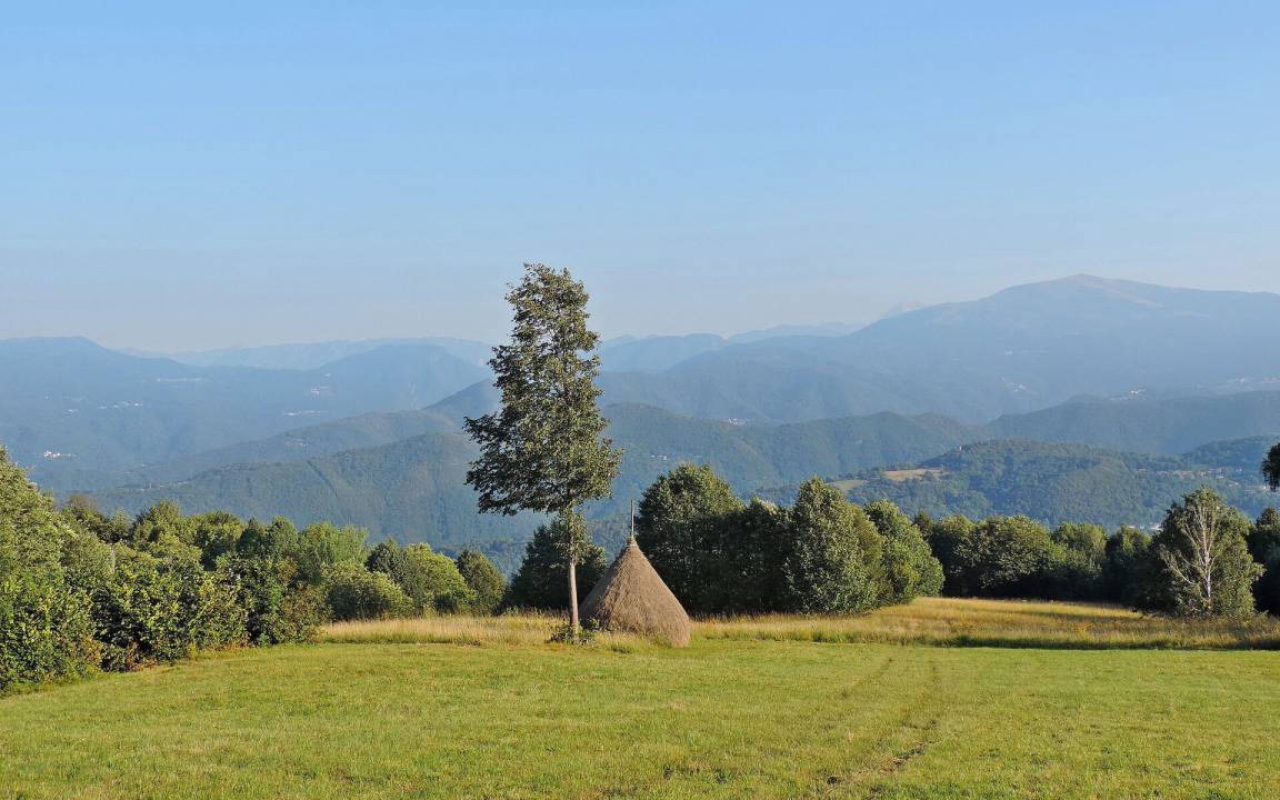 Photo of Others in Grimacco