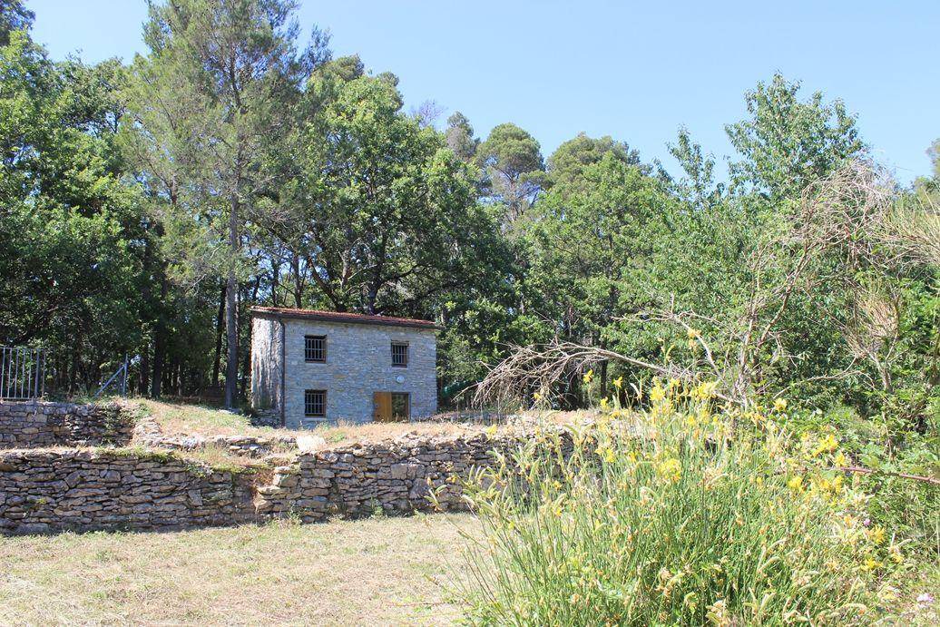 Photo of Others in Montemarcello