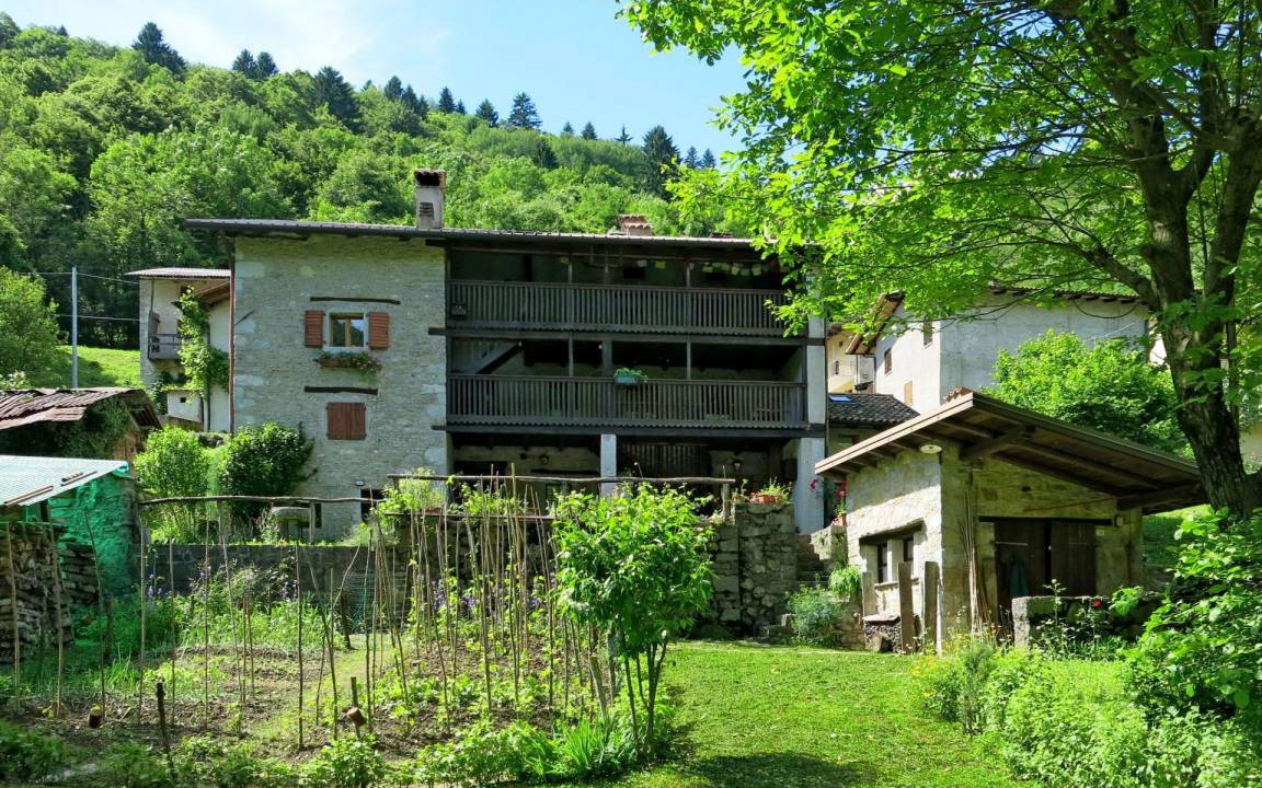 Photo of Others in Cepletischis