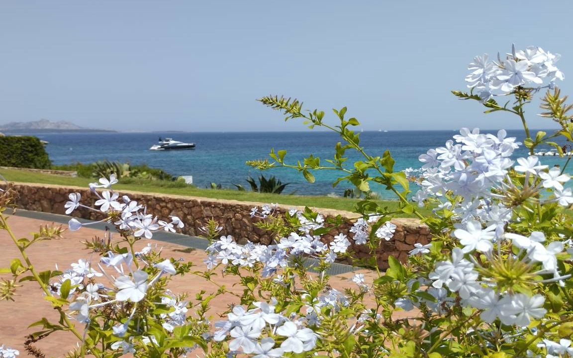 Photo of Others in Baja Sardinia