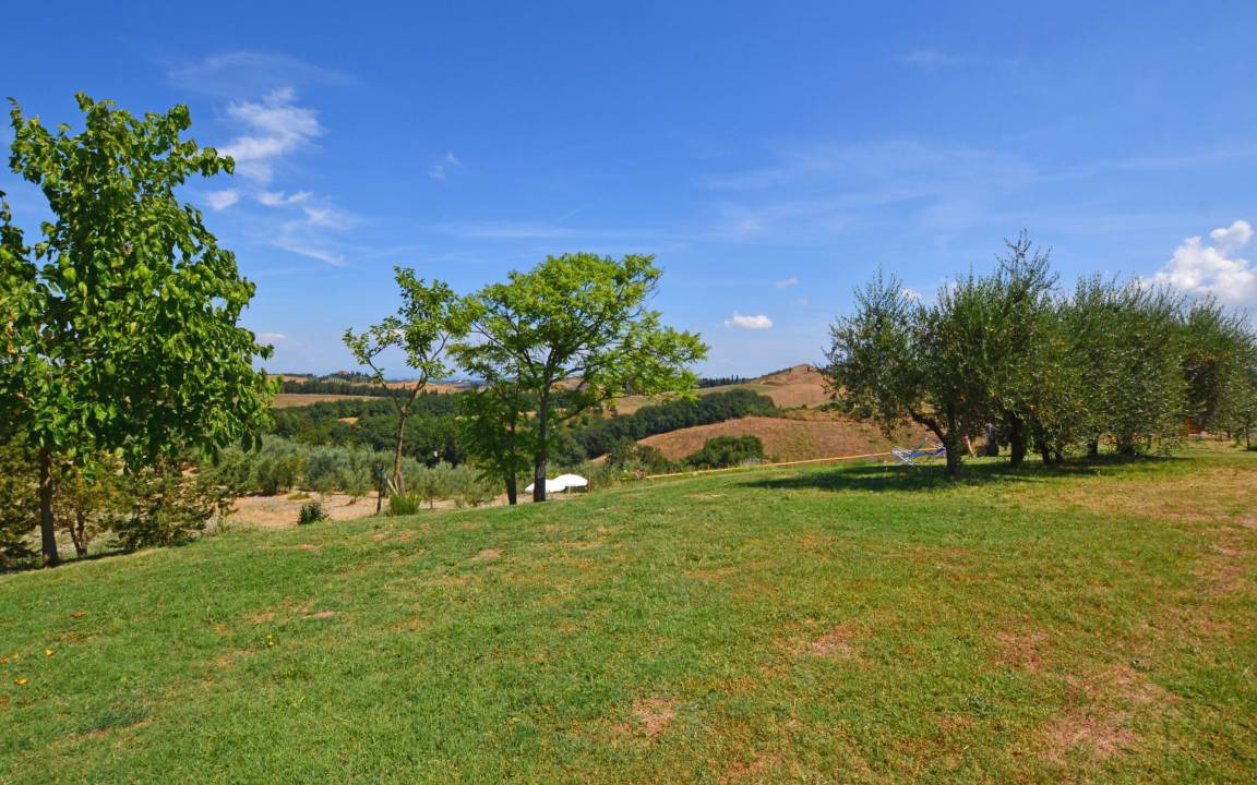 Photo of Others in Certaldo