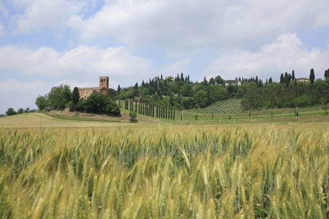 Photo of Others in San Miniato