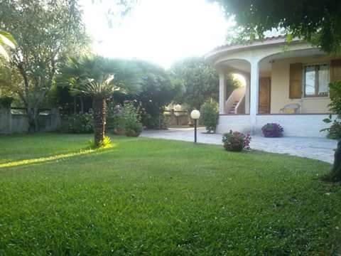 Photo of Others in Siniscola