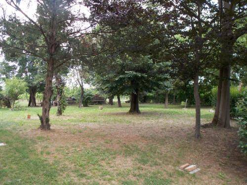 Photo of Outdoor in Russi