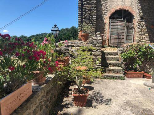 Photo of Others in Licciana Nardi