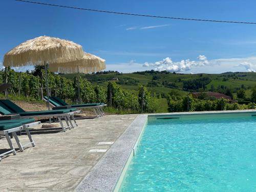 Photo of Others in Nizza Monferrato
