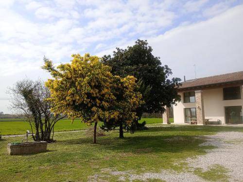 Photo of Others in Casale sul Sile