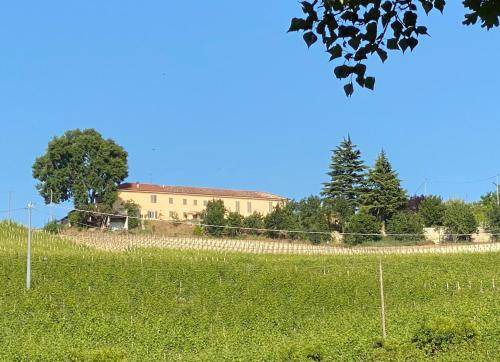 Photo of Others in Nizza Monferrato