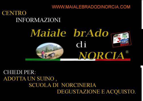 Photo of Others in Norcia