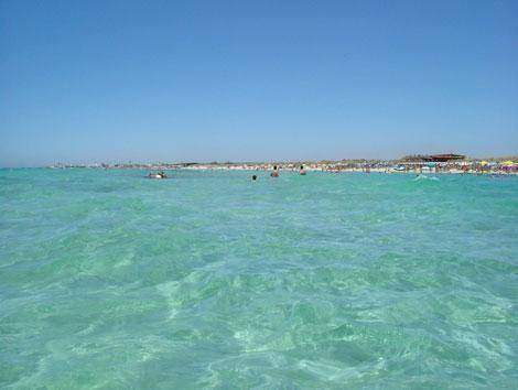 Photo of Others in Torre Mozza