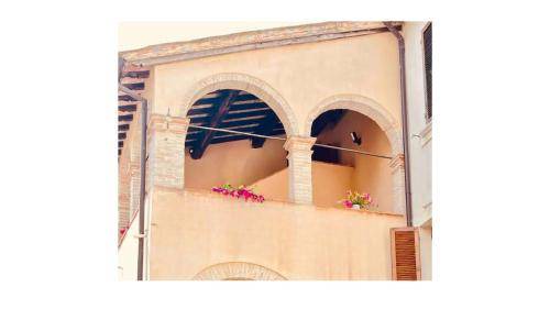 Photo of Others in Scopoli