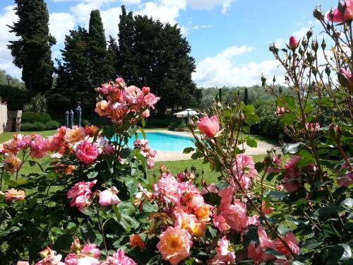 Photo of Others in Tuscania
