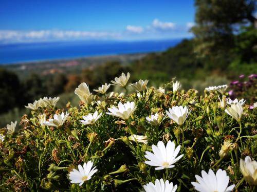 Photo of Outdoor in Lamezia Terme