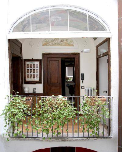 Photo of Others in Campobasso