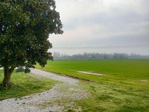 Photo of Others in Casale sul Sile