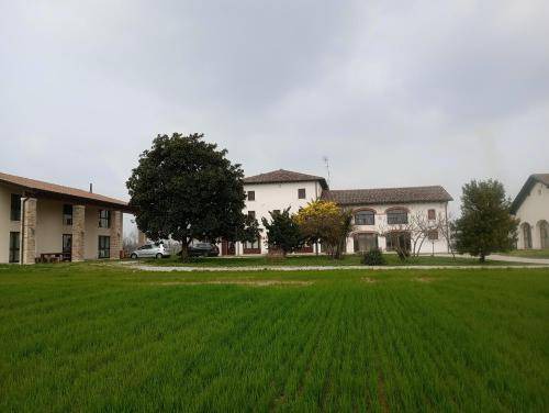 Photo of Others in Casale sul Sile