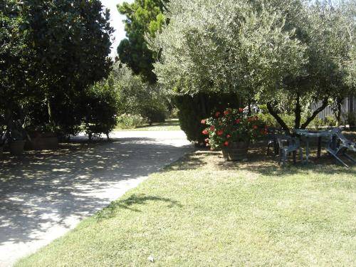 Photo of Others in Porto Sant'Elpidio
