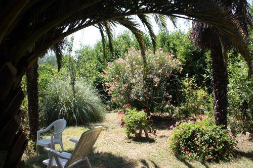 Photo of Others in Porto Sant'Elpidio