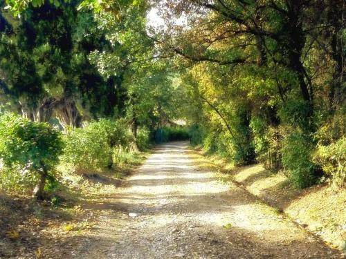Photo of Outdoor in Casalgrande