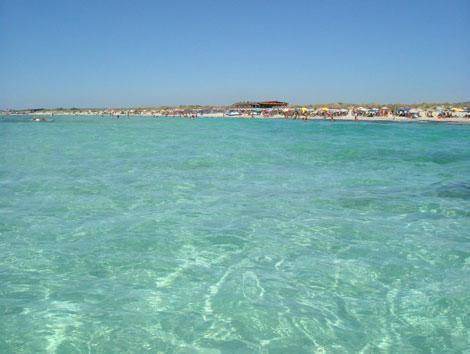 Photo of Others in Torre Mozza