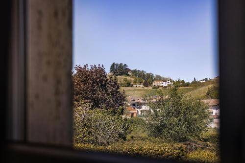 Photo of Others in Nizza Monferrato