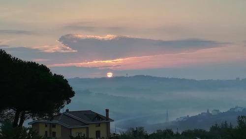 Photo of Others in Campobasso