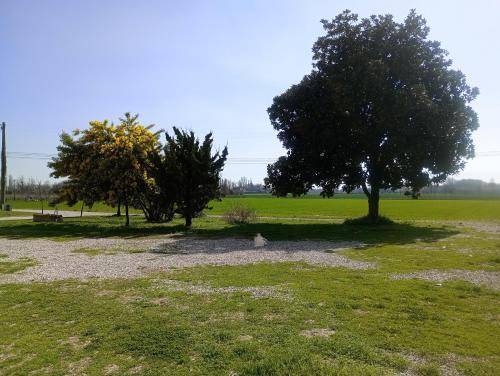 Photo of Others in Casale sul Sile