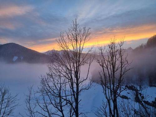 Photo of Others in Sauris